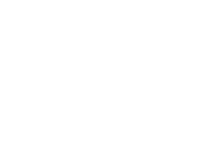 FK logo white